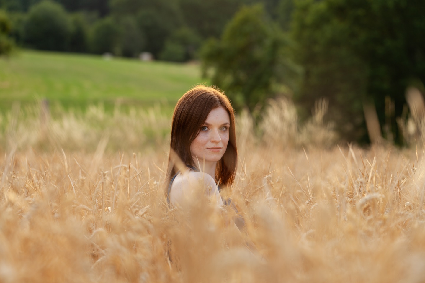 In the Cornfield