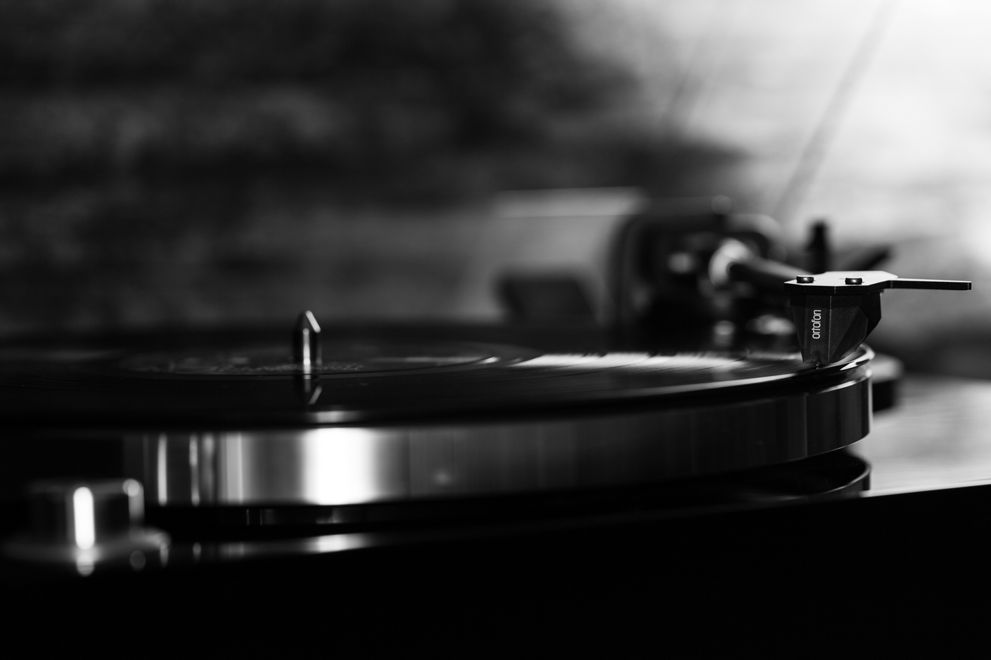 Vinyl